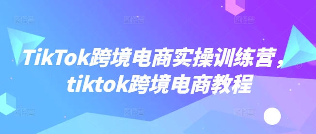 TikTok跨境电商实操训练营，tiktok跨境电商教程-久久资源库