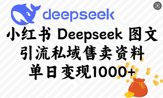 小红书Deepseek图文引流私域售卖资料，单日变现多张-久久资源库
