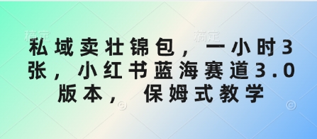 私域卖壮锦包，一小时3张，小红书蓝海赛道3.0版本， 保姆式教学-久久资源库