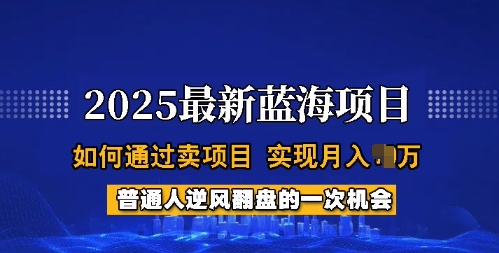 2025蓝海项目，普通人如何通过卖项目，实现月入过W，全过程【揭秘】-久久资源库