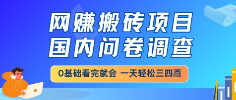 网创搬砖项目，国内问卷调查，小白轻松上手，一天三四张的也不难，干就完了【揭秘】-久久资源库