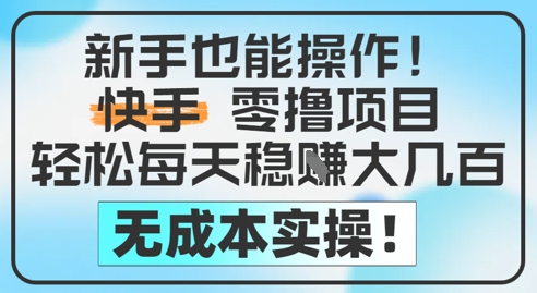 新手也能操作，快手零撸挣米，轻松每天挣2-5张，完全无成本-久久资源库