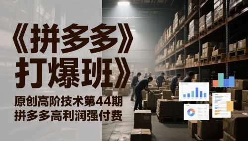 《拼多多打爆班》原创高阶技术第44期，拼多多高利润强付费-久久资源库