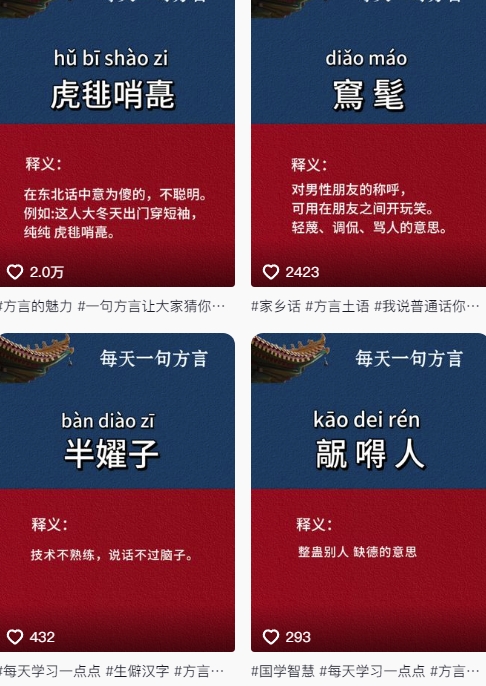 抖音最新涨粉玩法，图文方言暴力涨粉实操，126作品涨粉11W-久久资源库