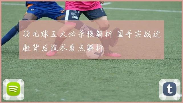 羽毛球五大必杀技解析 国手实战连胜背后技术看点解析
