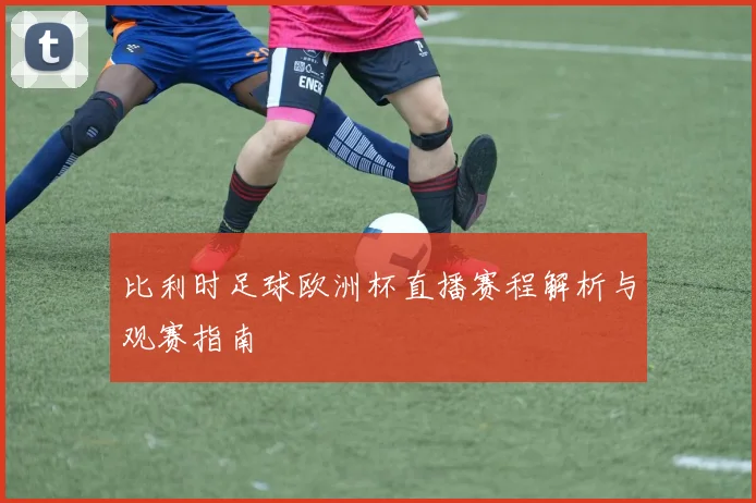 比利时足球欧洲杯直播赛程解析与观赛指南