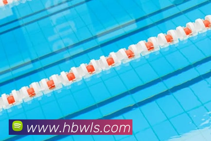 俄罗斯世界杯中国官网平台生态图